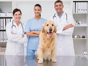 Ветеринары