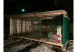 Строительство Зоогостиницы - Передержки собак в Одинцово